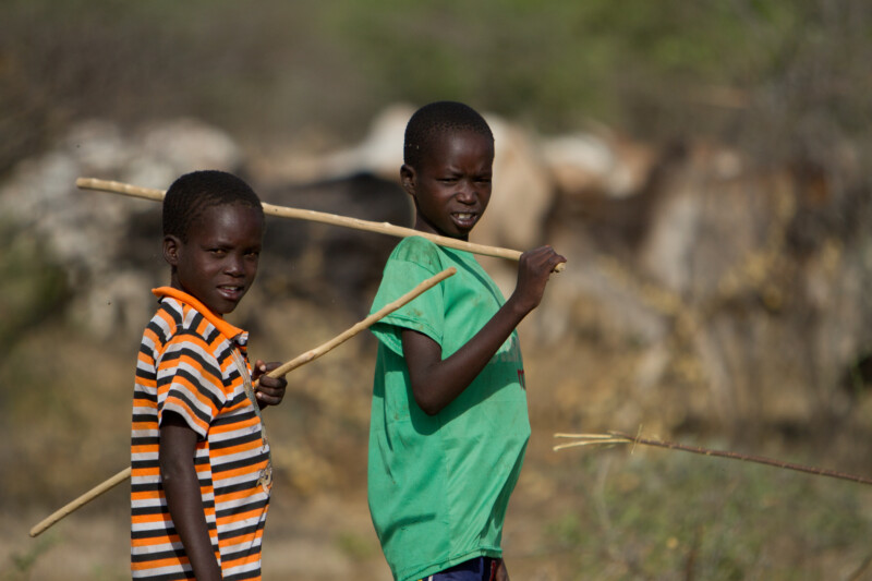 Cattle and their young herders in South Sudan