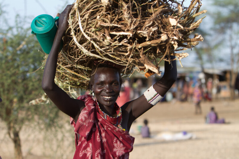 Woman with a Bundle of Sticks