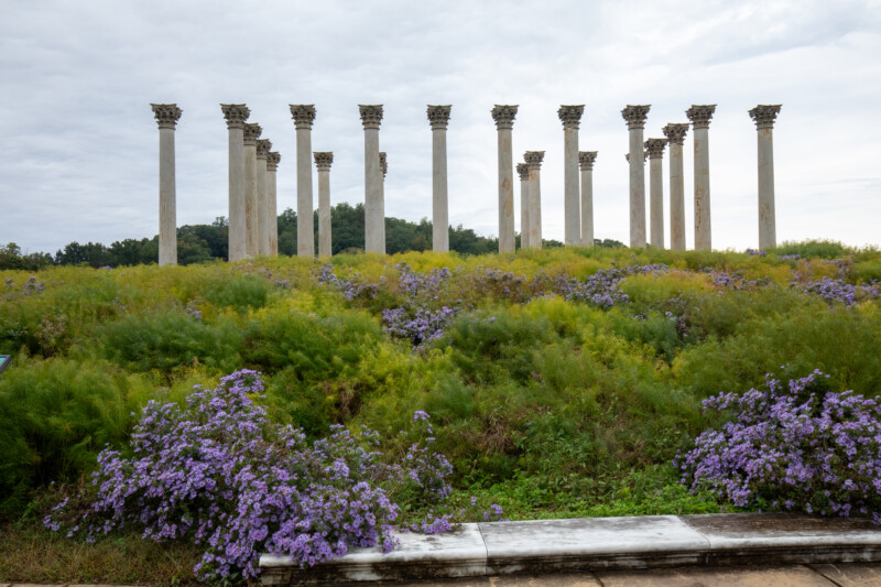 National Capital Columns — Architecture, Building, Pillar, Ruin, Washington
