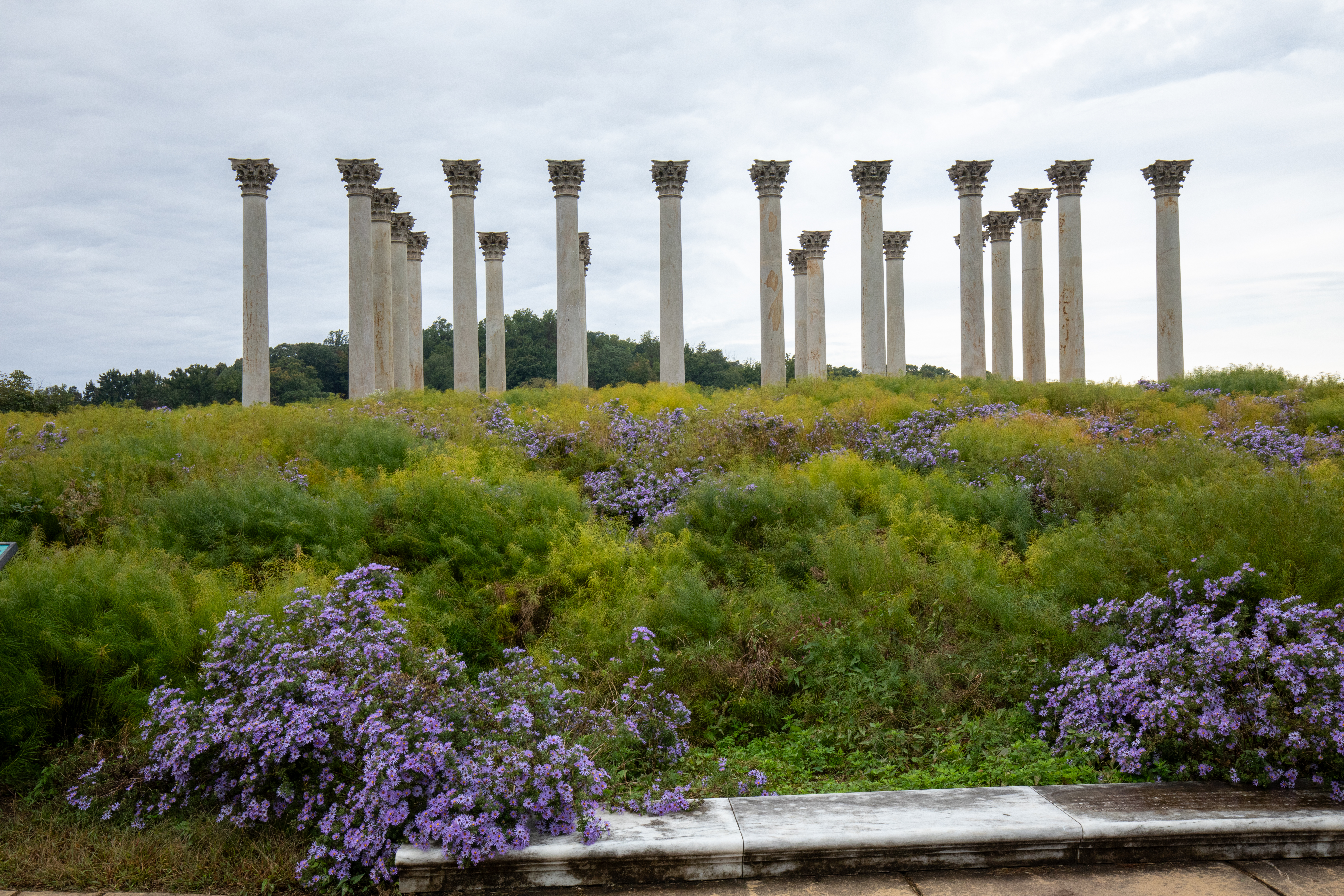 National Capital Columns
