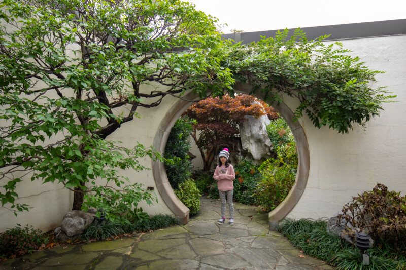 Washington2133 — Eyes Open, Female, Frontal Face, Garden, Nature