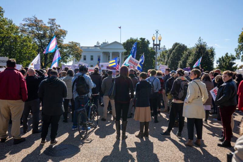 Protest at the Whitehouse — Adult, Flag, Frontal Face, Male, Nature