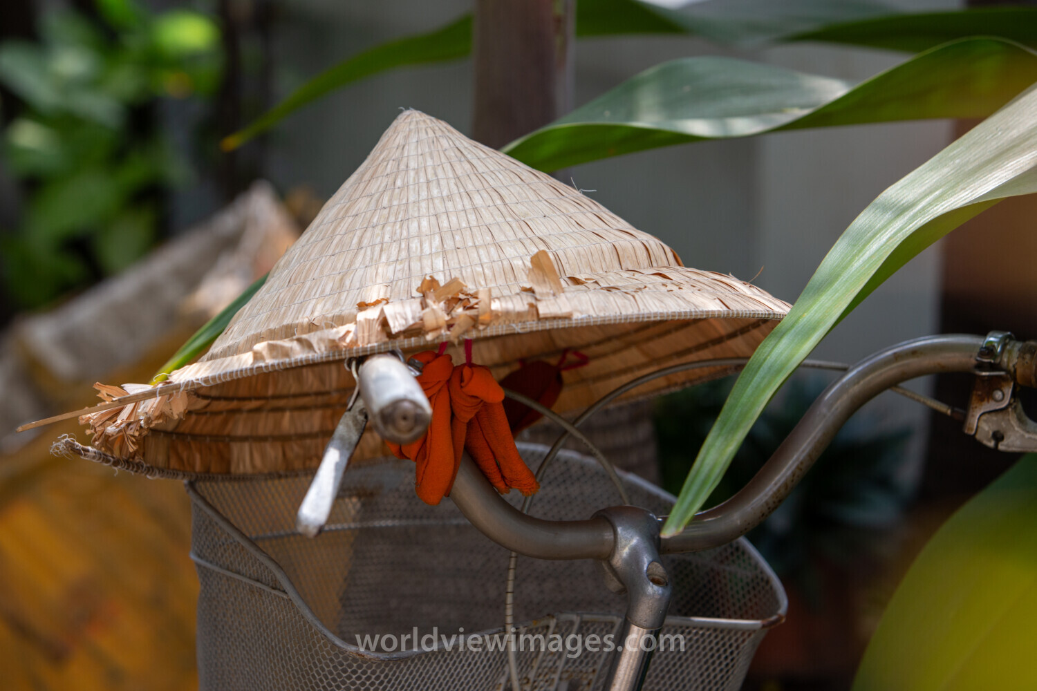 Bamboo Hat