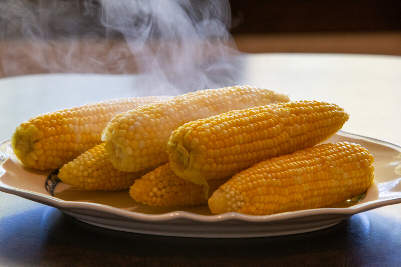 Steaming Corn on the Cob — Corn, Food, Vegetable