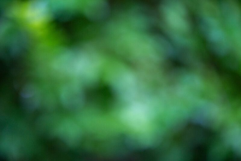 Photo: World_View_Images2296 — Texture