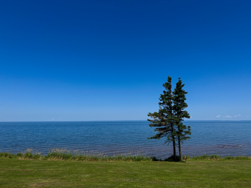 Pugwash Nova Scotia — Beach, Complementary Colors, Lake, Nature, Plant