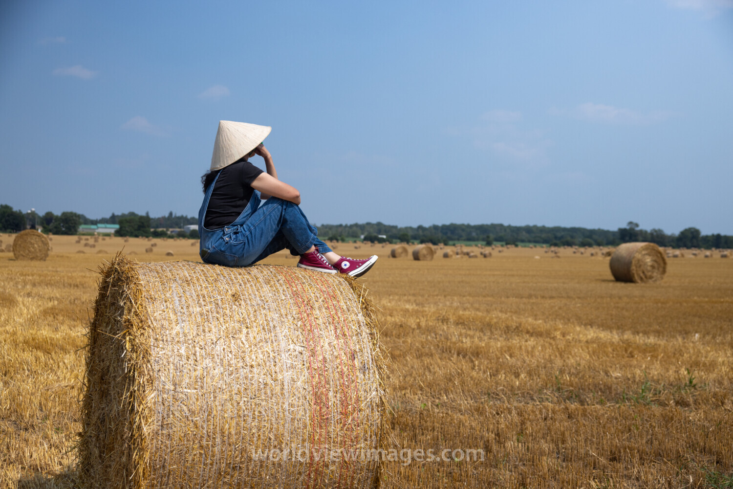 Vietnamese Woman Sits on a Hay Bale