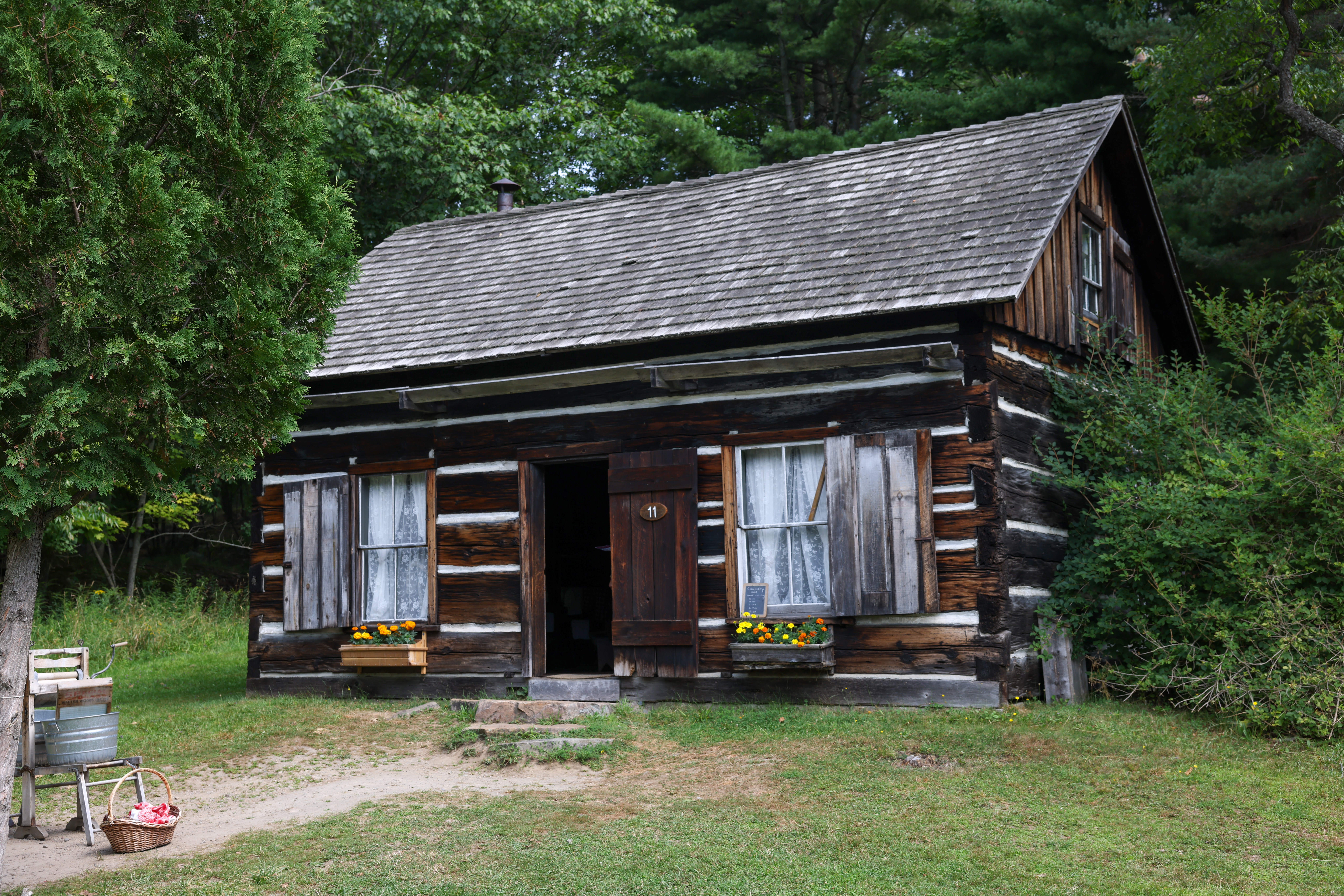 Hewn Log Cabin
