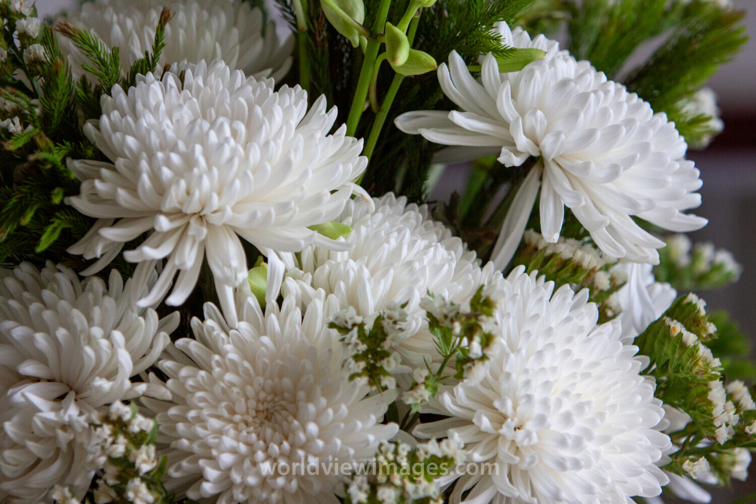 Flowers in an Arangement