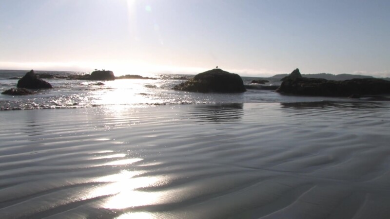 California Beach — Stock video of beach shots on the Pacific Coast Highway of the California coastline, highway 1Keywords: Ocean, sea, Pacific, coast, Beach,...