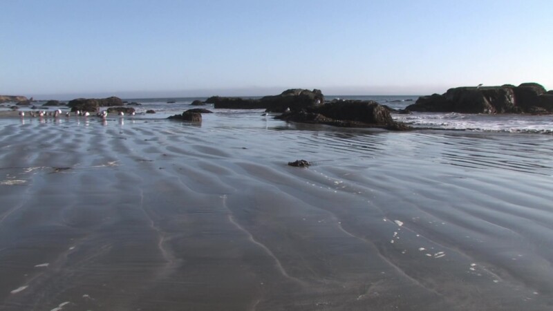 California Beach — Stock video of beach shots on the Pacific Coast Highway of the California coastline, highway 1Keywords: Ocean, sea, Pacific, coast, Beach,...