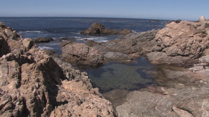 California Beach — Stock video of beach shots on the Pacific Coast Highway of the California coastline, highway 1Keywords: Ocean, sea, Pacific, coast, Beach,...
