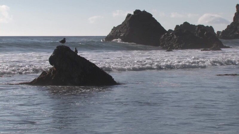 California Beach — Stock video of beach shots on the Pacific Coast Highway of the California coastline, highway 1Keywords: Ocean, sea, Pacific, coast, Beach,...