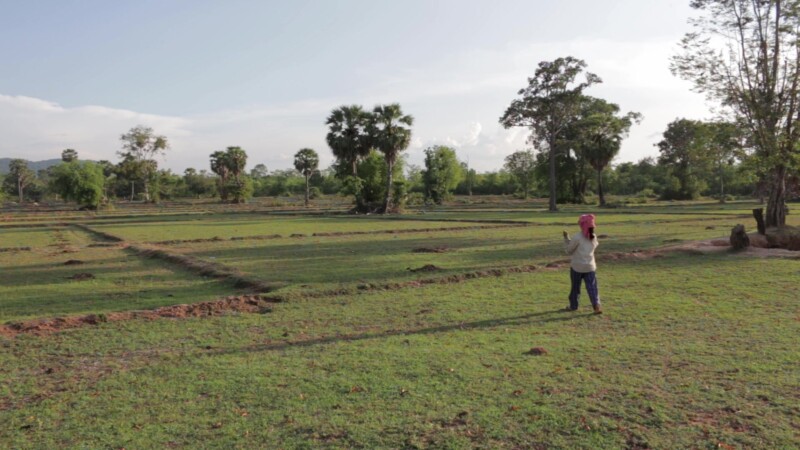 Searchng for Firewood — Stock Video Footage of Cambodia: Woman walks out into a field in Cambodia on her daily search for firewood to cook food and boil wate...