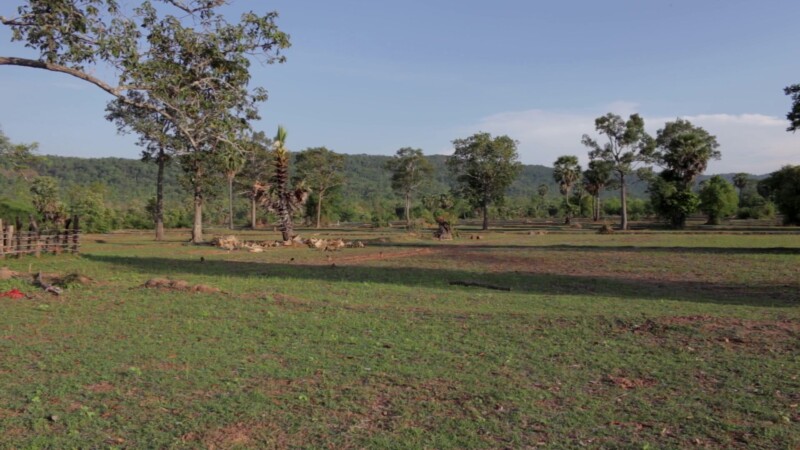 Cambodian Field — Stock Video Footage of Cambodia: Pan of field in Preah Vihear Province of northern Cambodia — Asia, Cambodia, field, scenic, hills