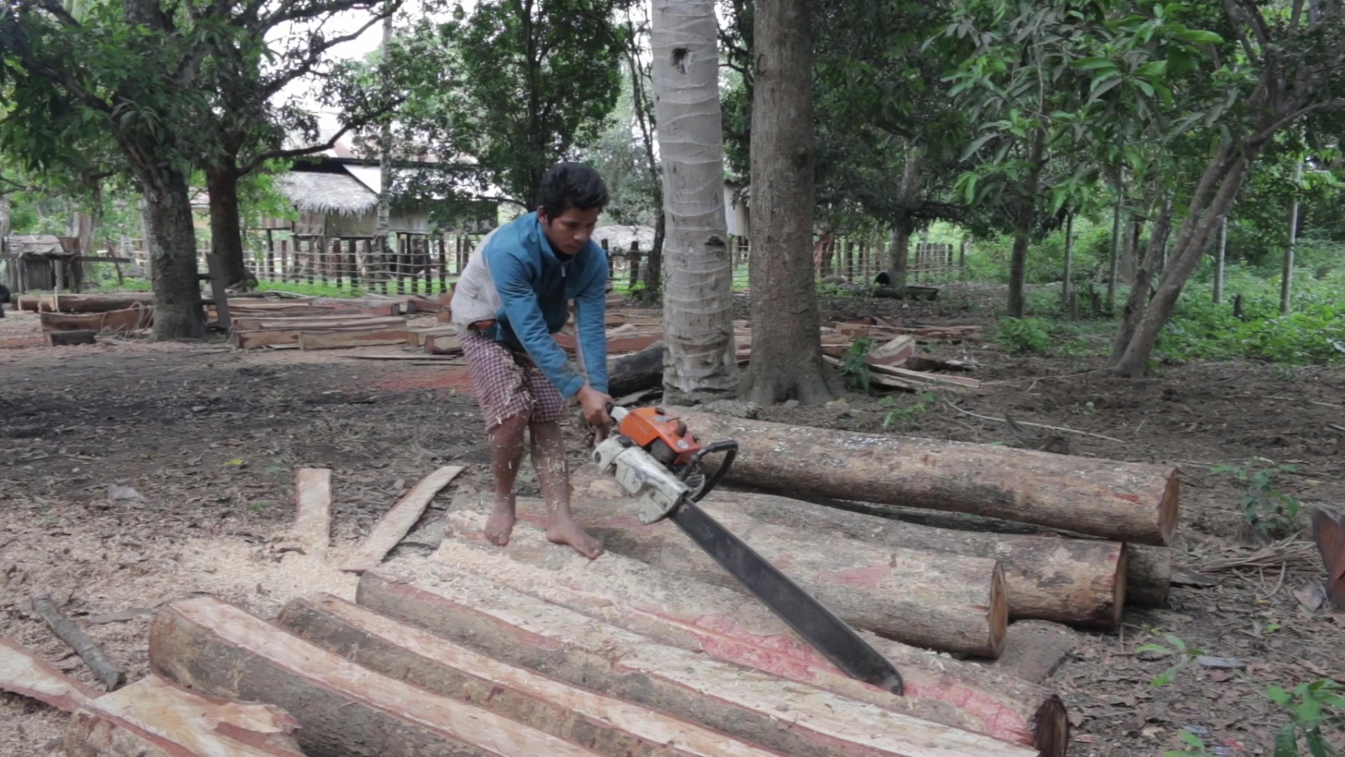 Sawing Planks in Cambodia