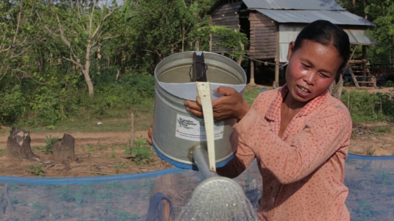 Watering Garden in Cambodia — Woman waters her organic home kitchen garden in Cambodia, that she has learned to grow from an agricultural training program co...