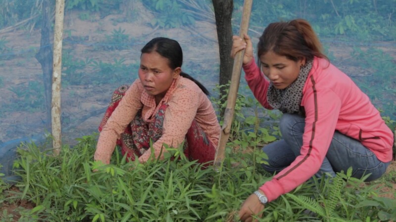 Cambodia Video WVV 00325 — Cambodia, Rural