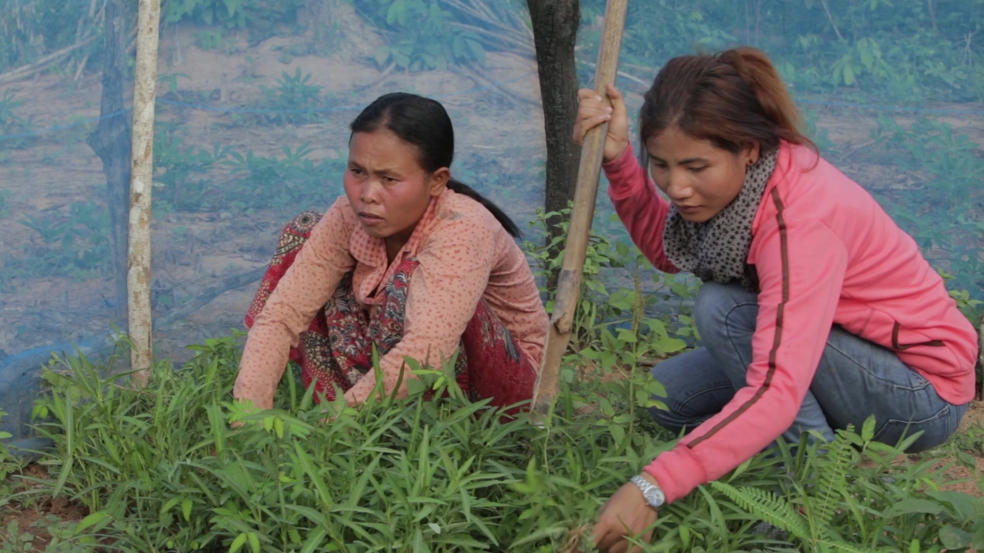 Cambodia Video WVV 00325