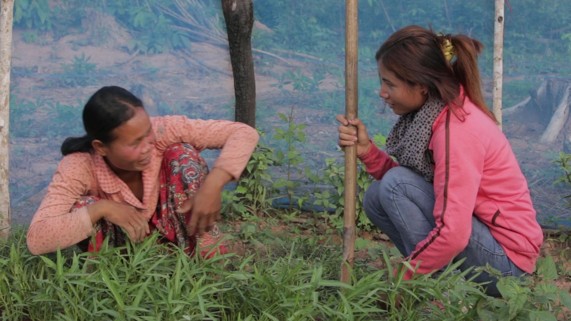 Cambodia Video WVV 00327