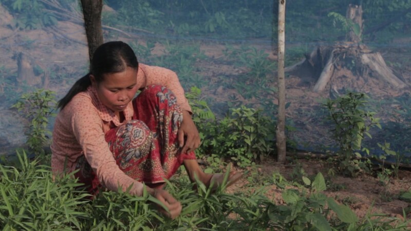 Woman in Cambodia Works in her Garden. — Woman works in her organic, home kitchen garden in Cambodia — Asia, Cambodia, ADRA, Woman, Women