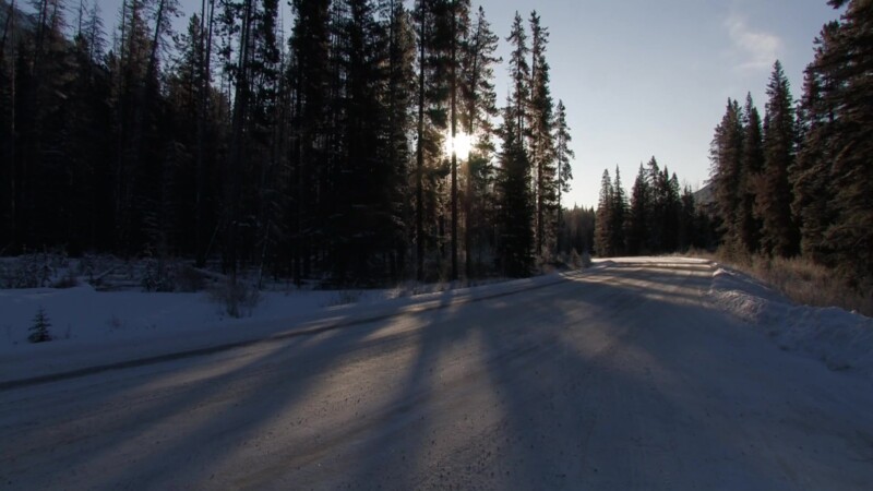 Snowy Road at Sunrise — Snow road in Banff National ParkKeywords: Canada, Snow, Road, Banff, Sunrise, Trees