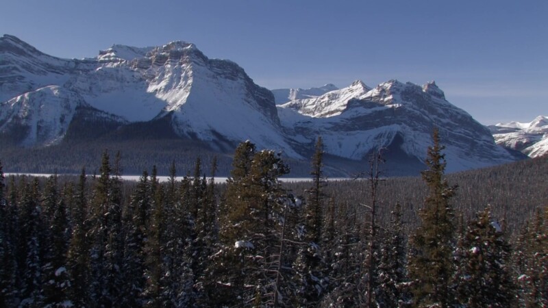 Video: Banff National Park in Winter