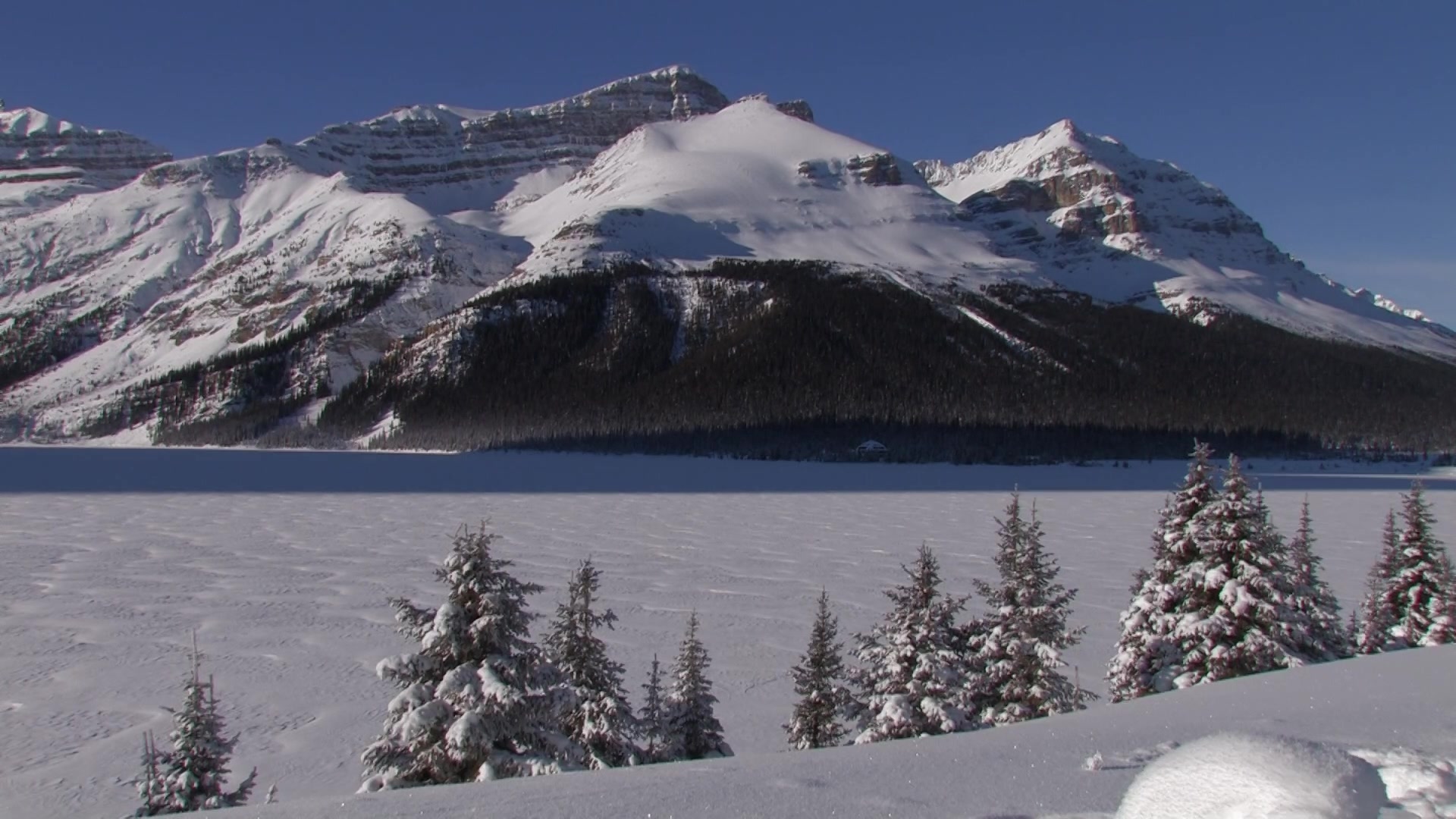 Bow Lake in Winter
