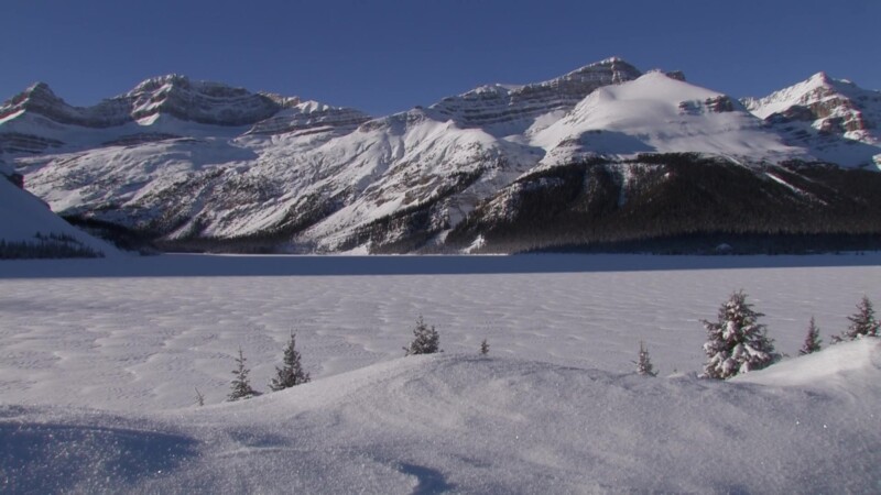 Bow Lake in Winter — Stock Video Footage of Canada: Bow Lake frozen in winter with snow fully covered with snowKeywords: Canada, Scenic, Calgary, Banff Natio...
