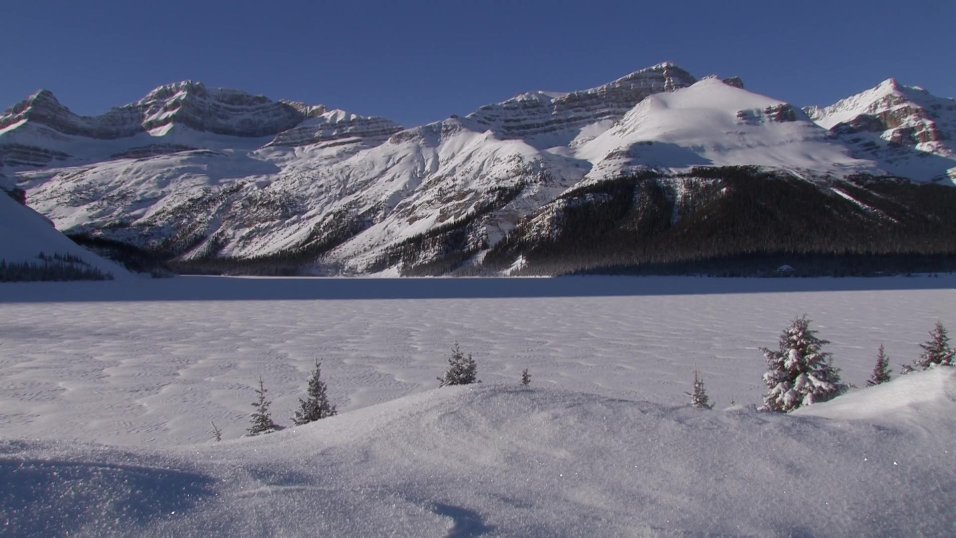Bow Lake in Winter
