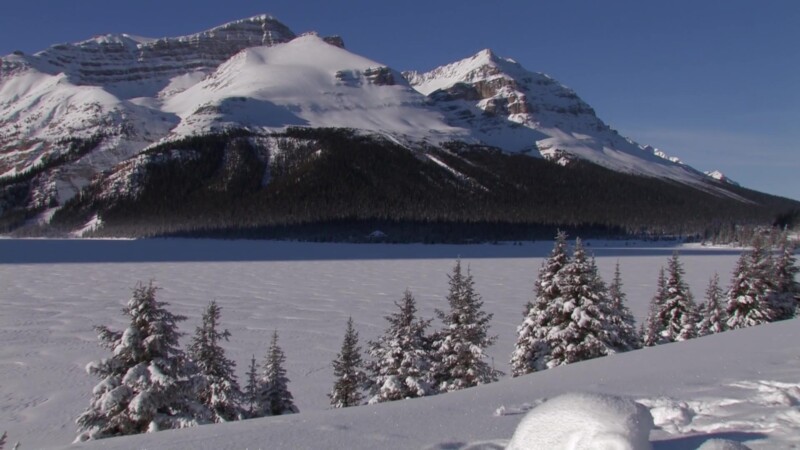 Bow Lake in Winter — Stock Video Footage of Canada: Bow Lake frozen in winter with snow fully covered with snowKeywords: Canada, Scenic, Calgary, Banff Natio...