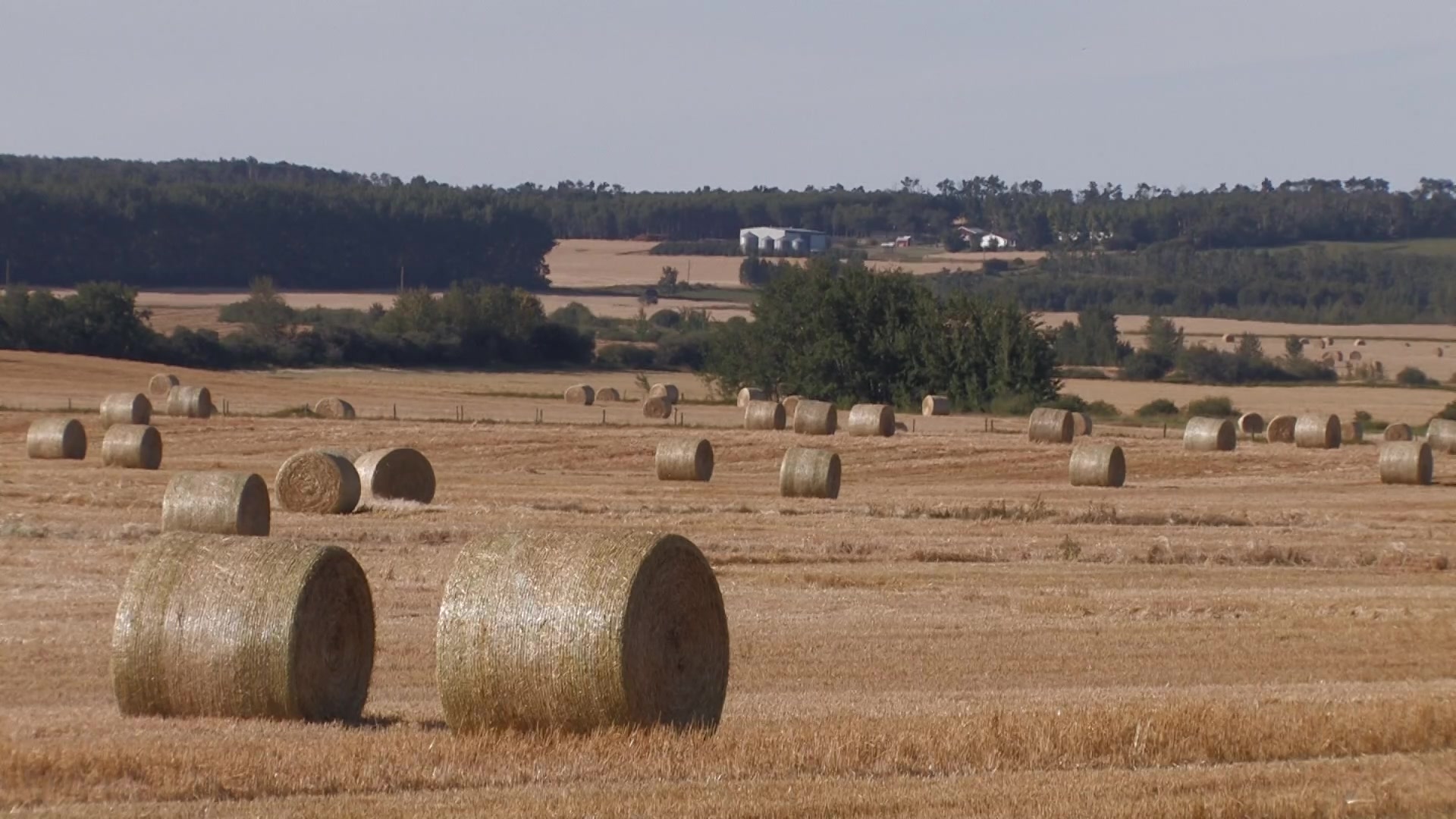 Straw Bales