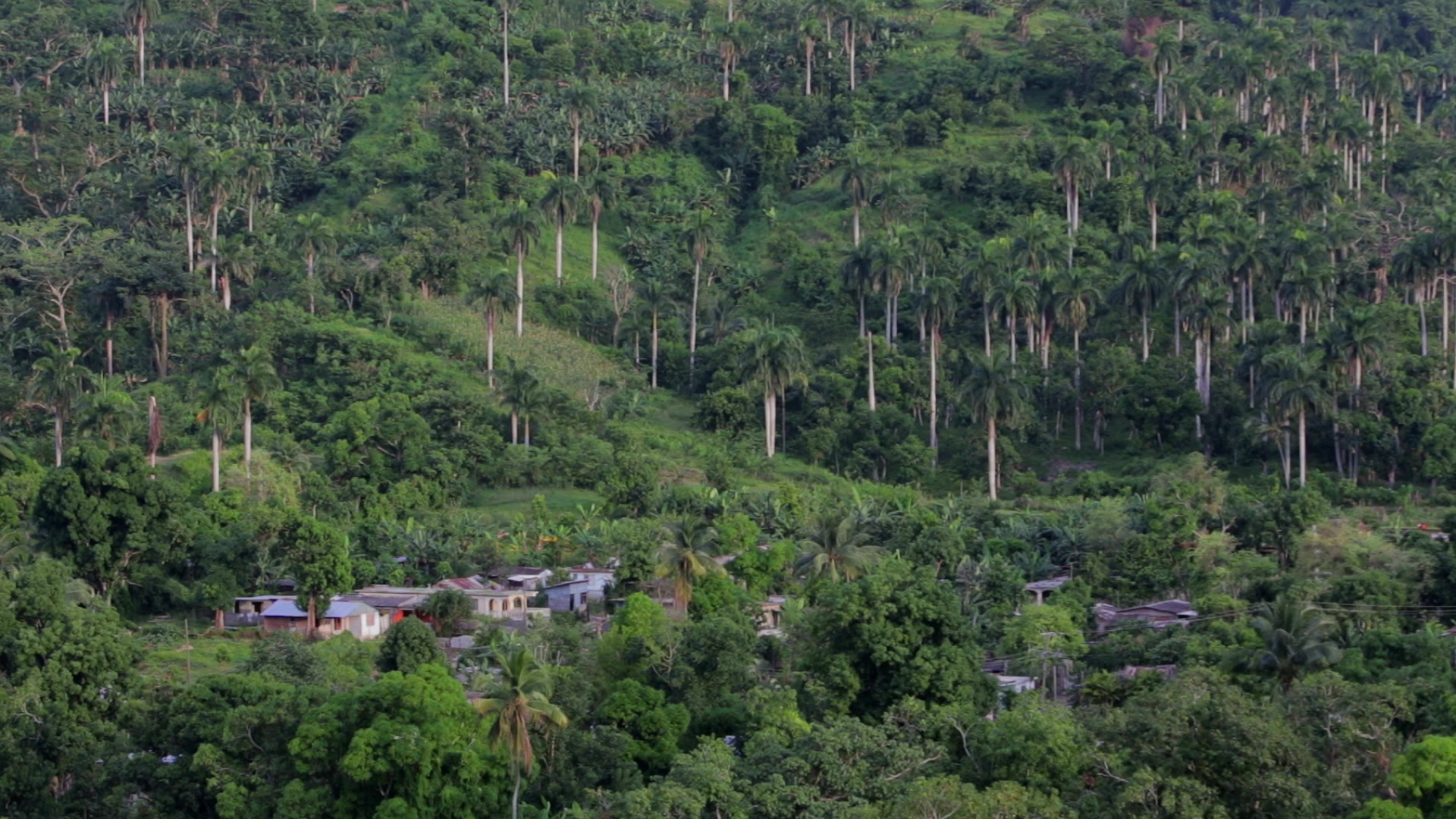Scenic View in Cuba