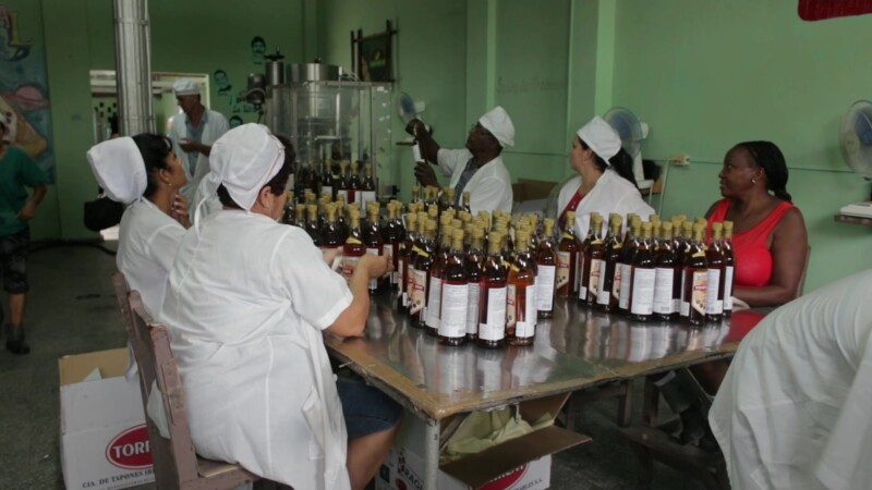 Rum Bottling Factory in Cuba — Cuba, Cuban, Rum, Rum factory, work