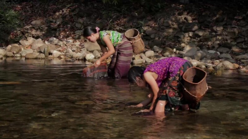 Fishing in the River