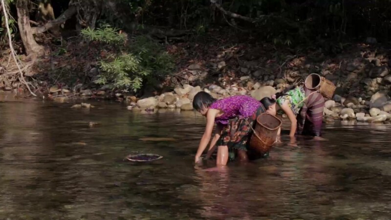 Fishing in the River