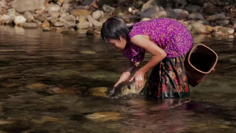 Fishing in the River