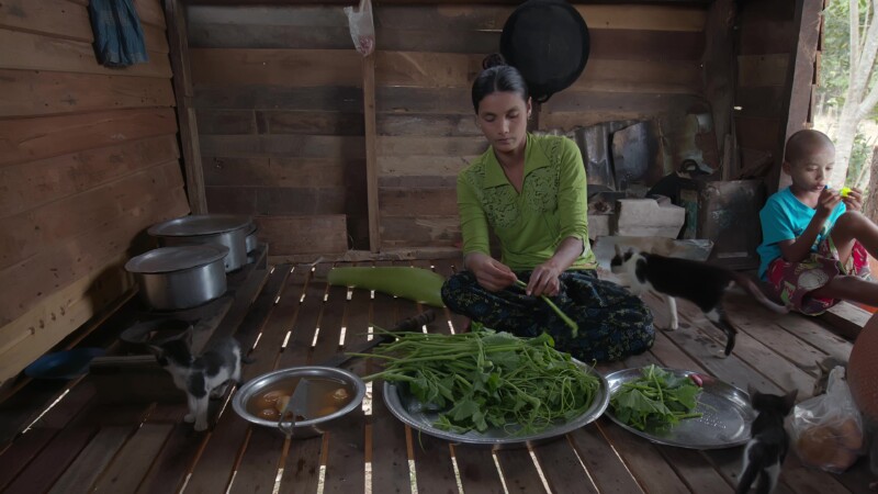 Woman Prepares a Meal for Her Family