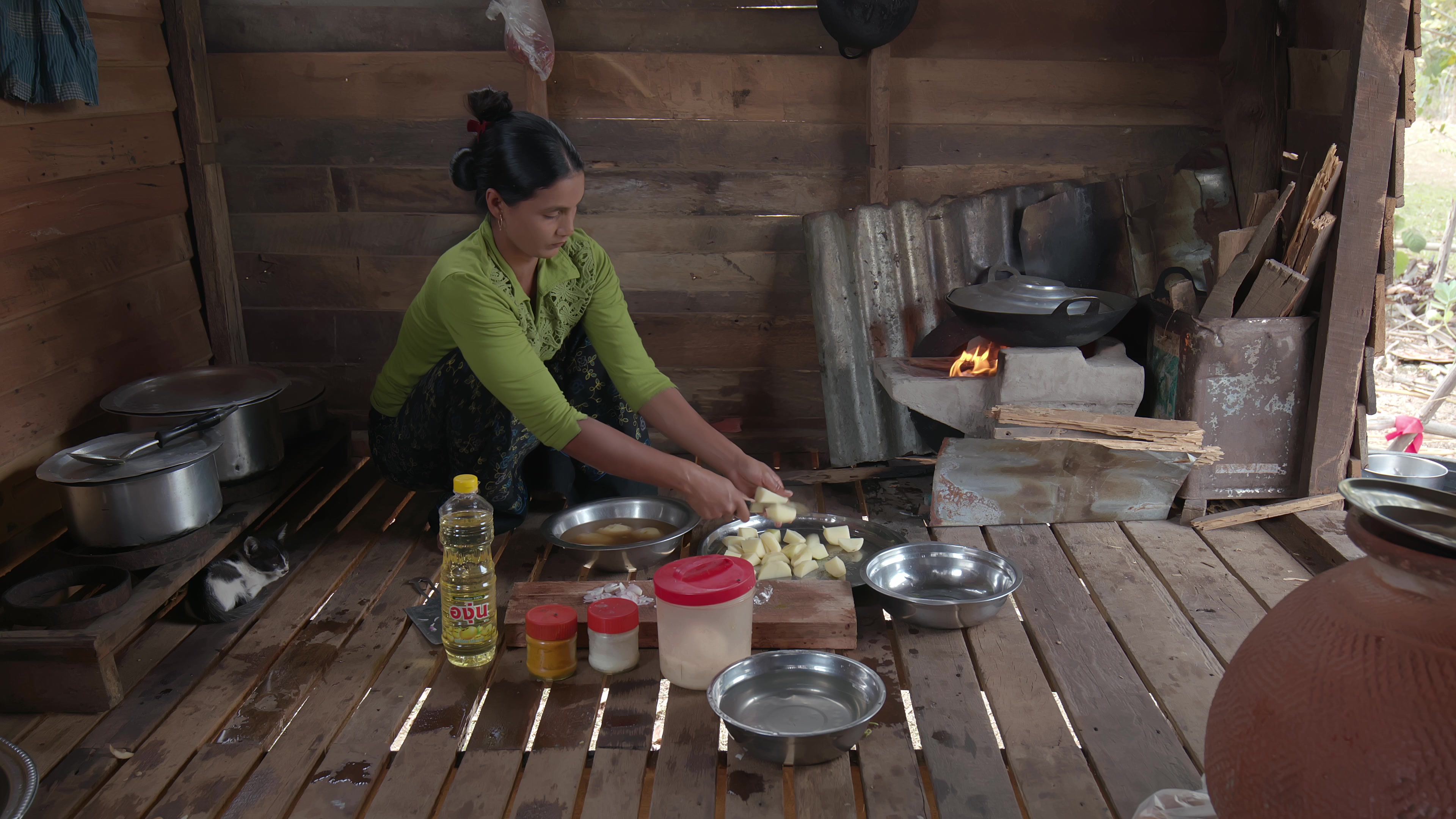 Woman Prepares a Meal for Her Family