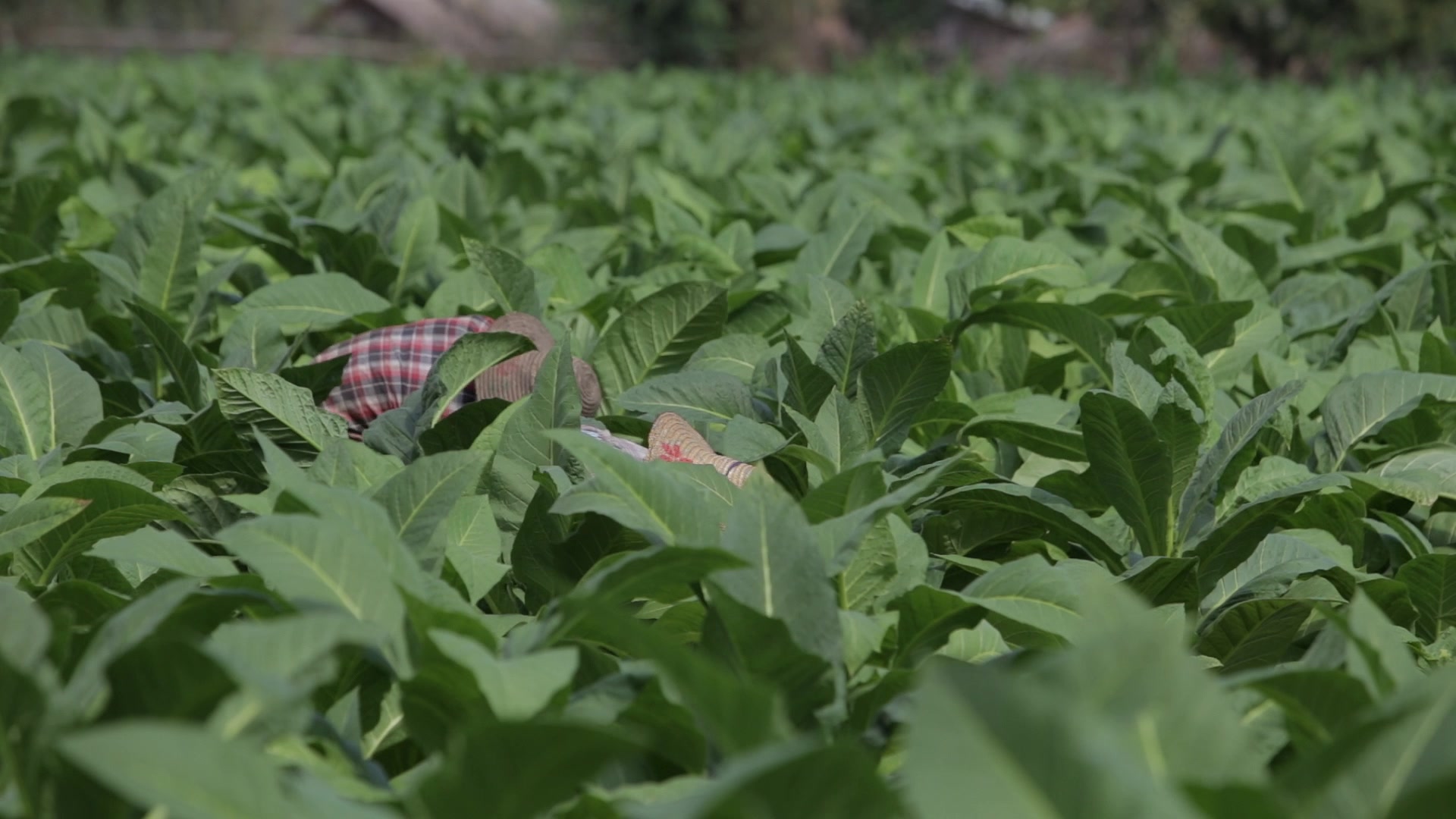 Day Workers in Myanmar