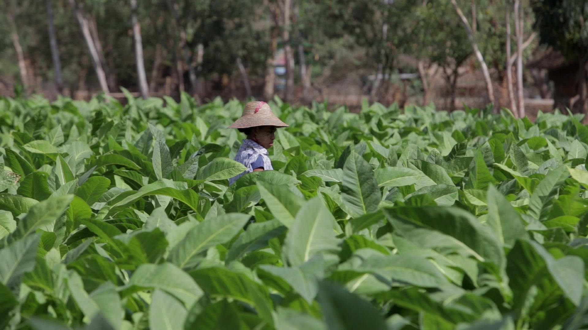 Day Workers in Myanmar