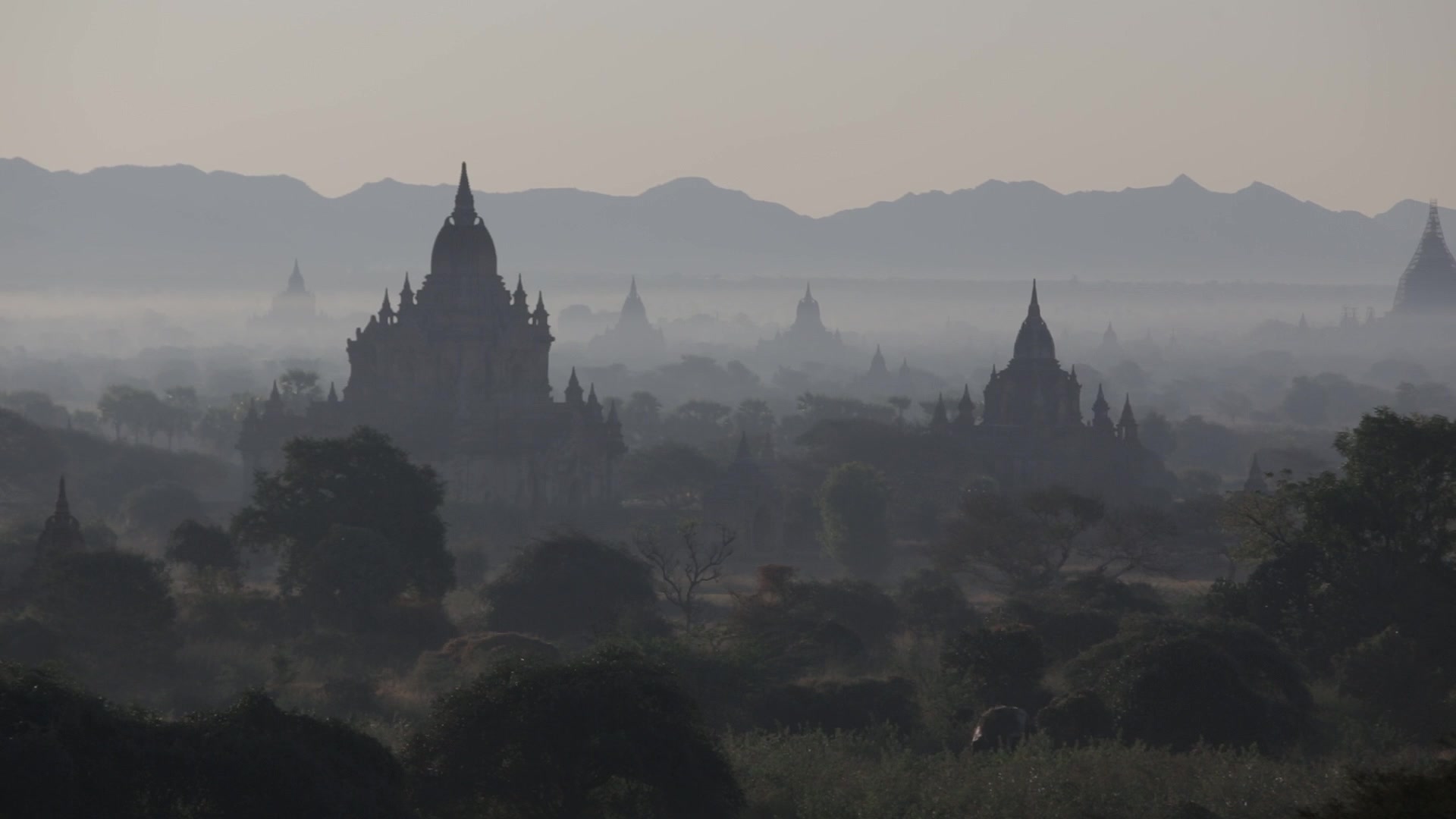 Myanmar 2014 2431683 V1 0133