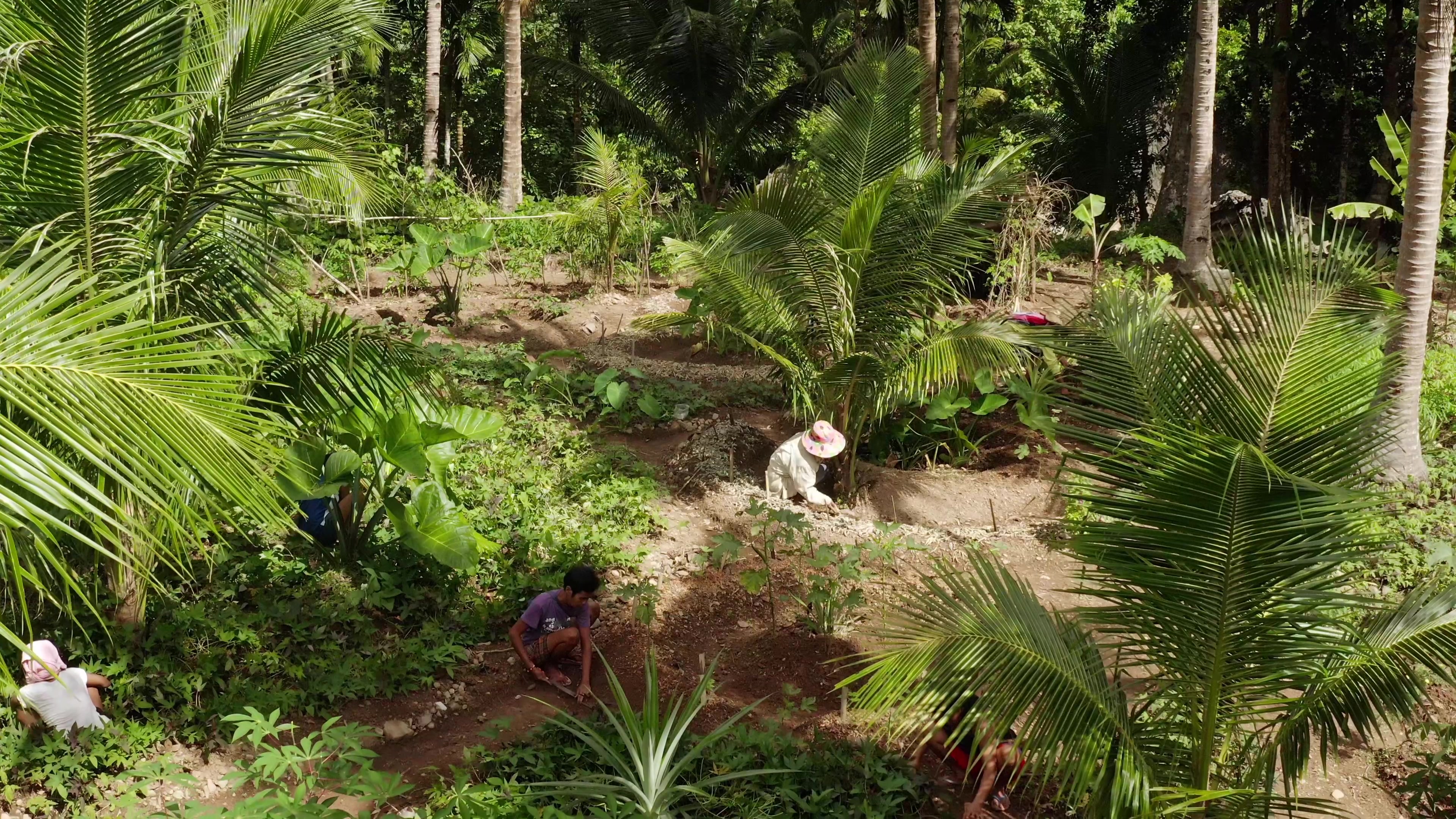 Community Garden in the Philippines