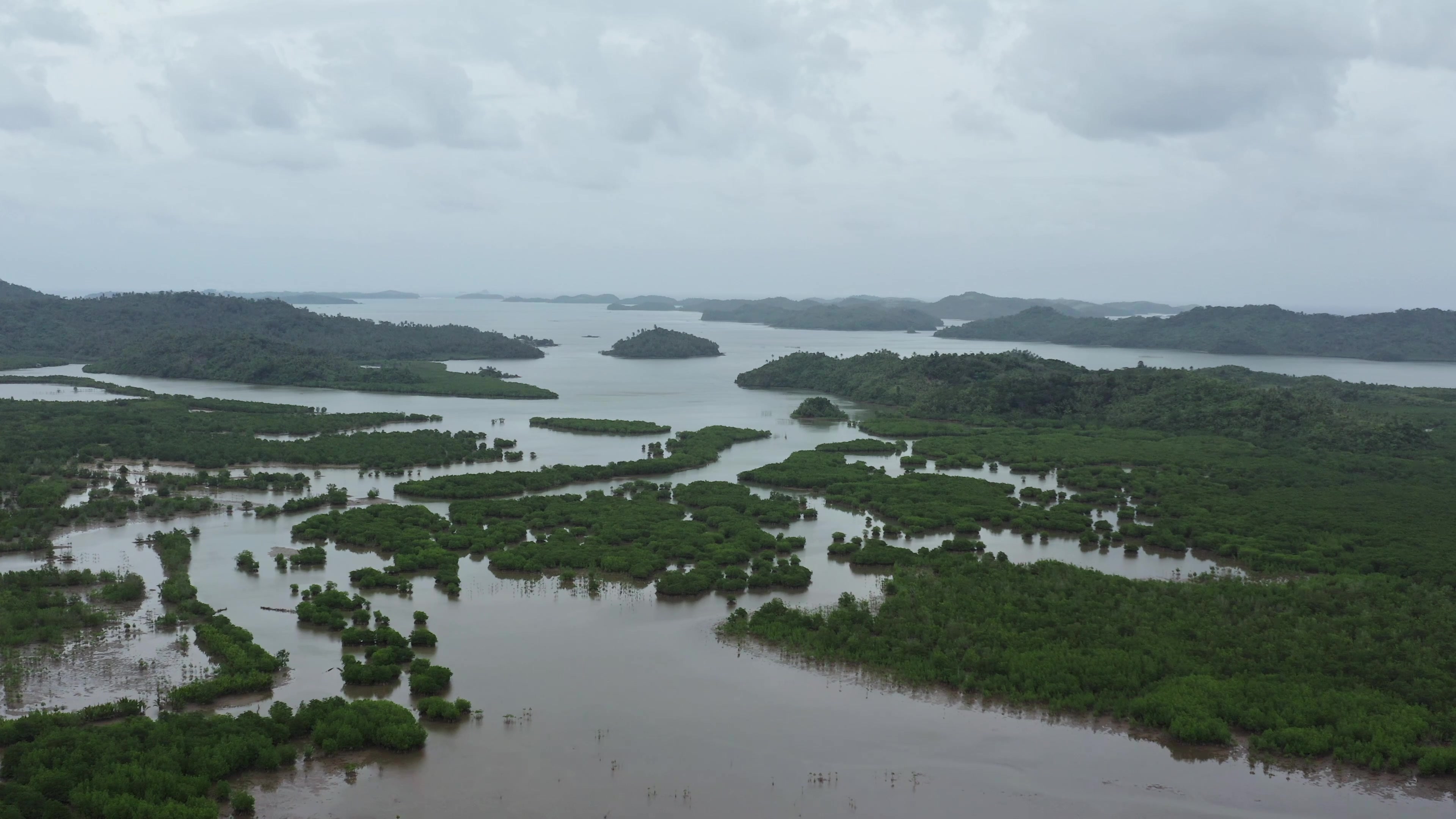 Drone Shot over Mangroves