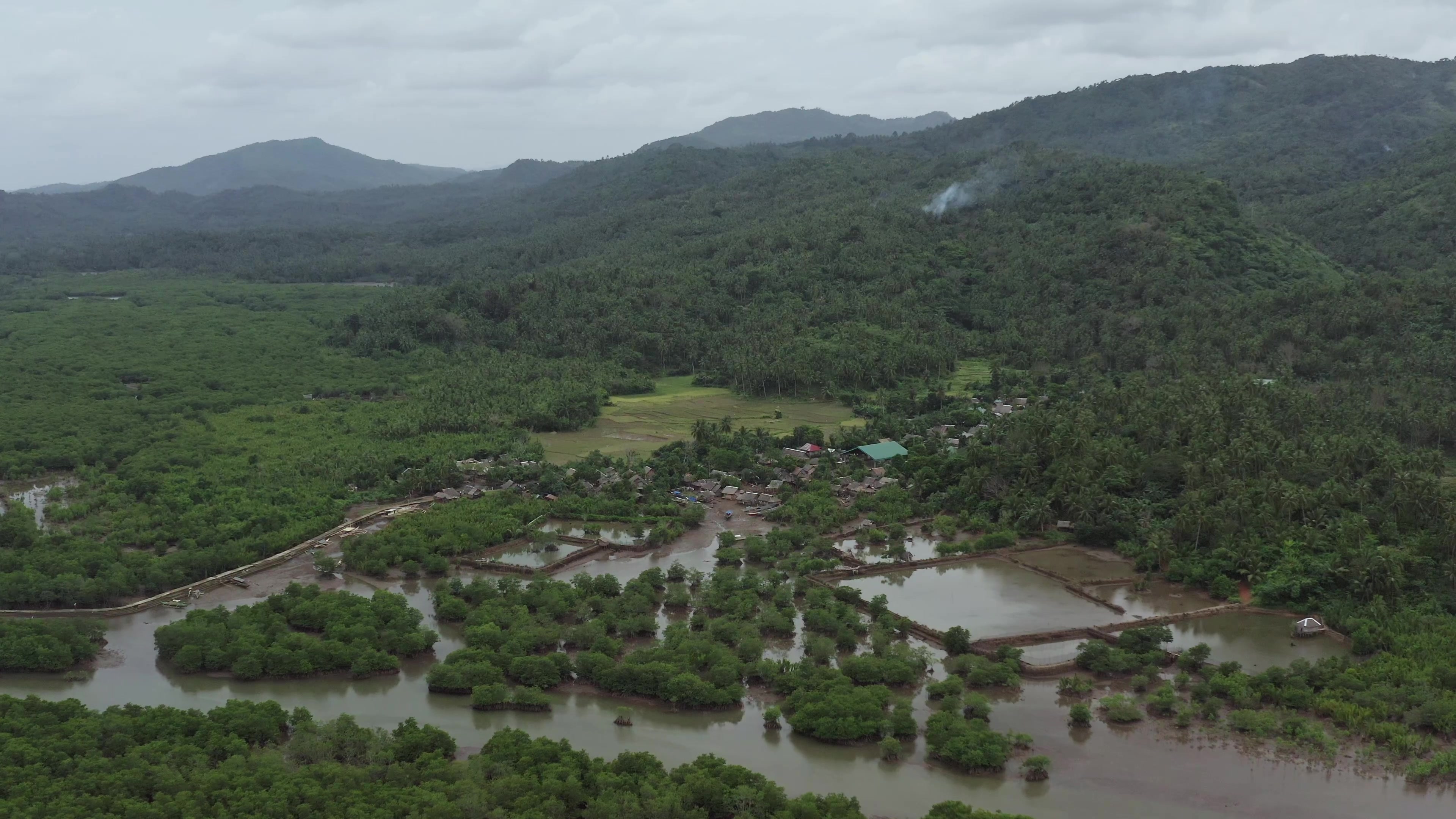 Drone Shot over Mangroves