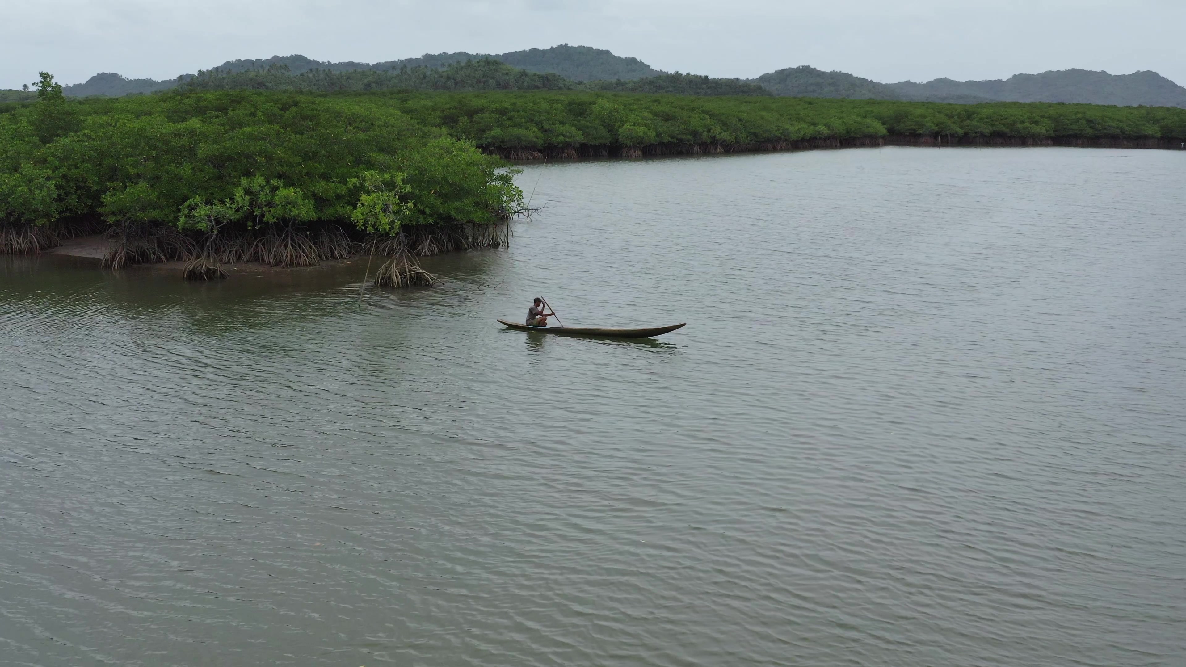 Drone Shot over Mangroves