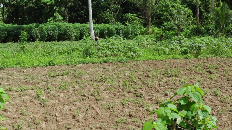 Philippines V1 0046 — Drone, Flyover, Aerial Video, Philippines