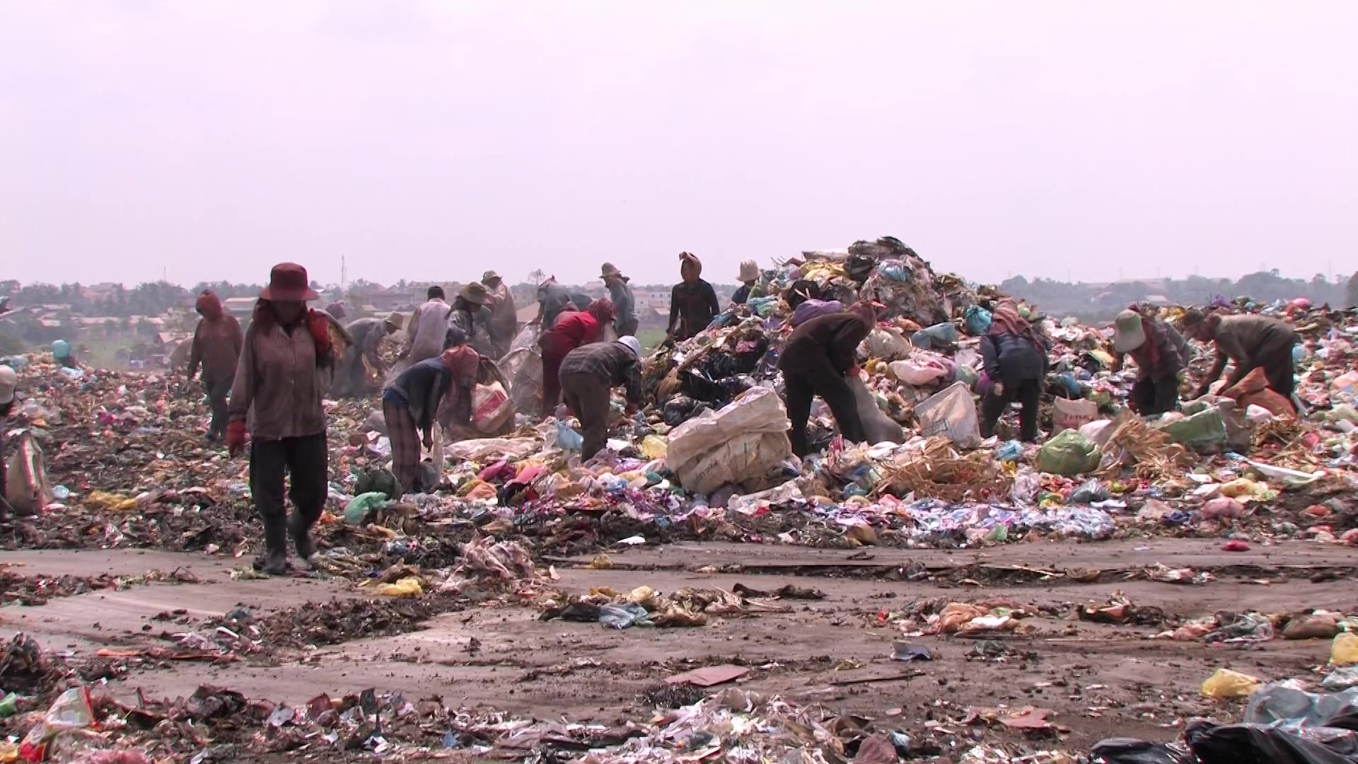 Working at the City Dump
