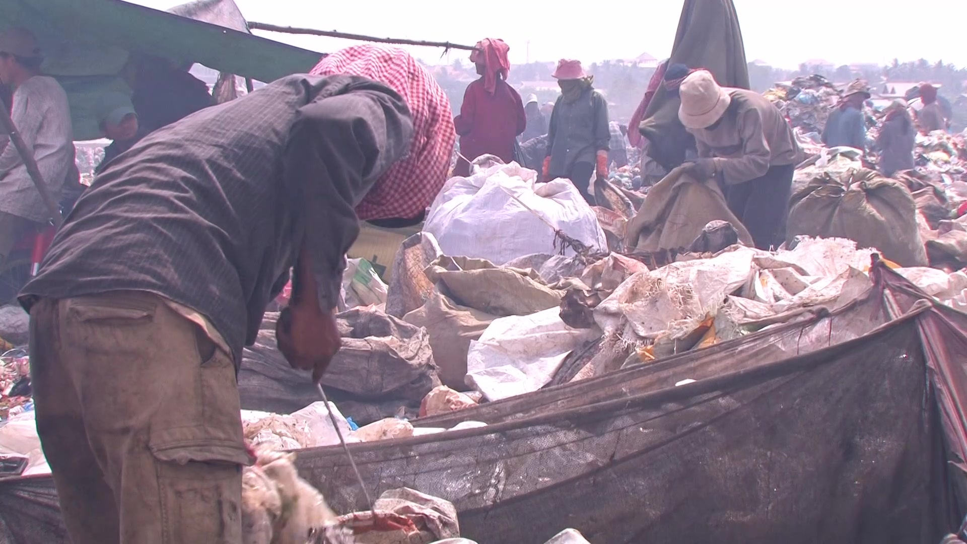 Working at the City Dump