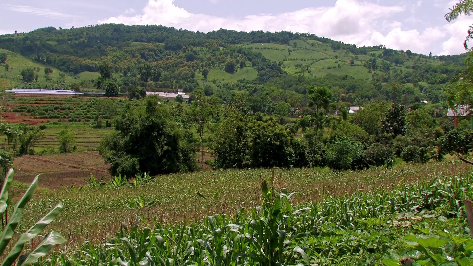 Scenic Hills in Northern Thailand